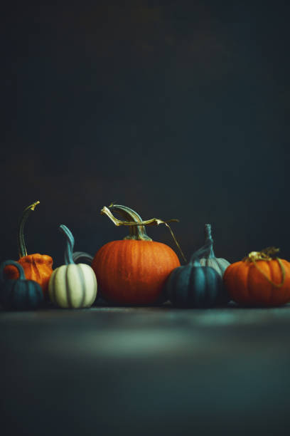 istock Thanksgiving or Halloween still life background with assorted pumpkins 1193423210