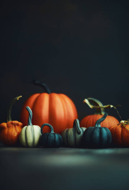 istock Thanksgiving or Halloween still life background with assorted pumpkins 1193423220