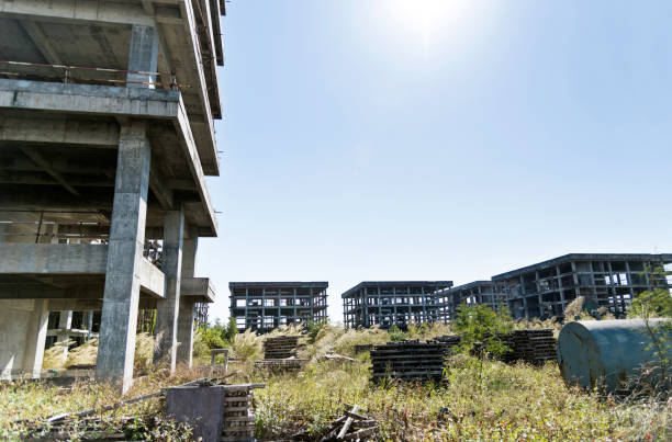Weeds overgrown in abandoned construction site.