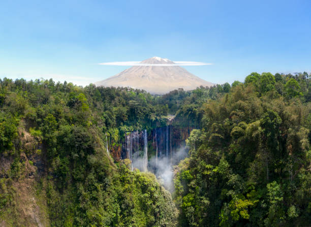 istock Green tropical rainforest with waterfall and mountain 1193426492
