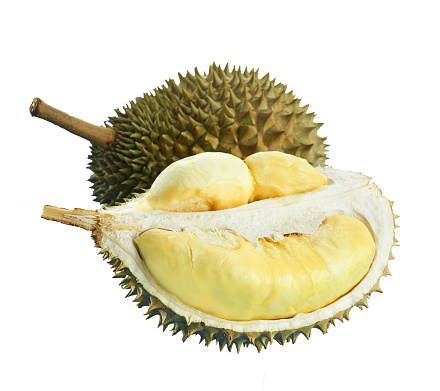 Durian is tropical fruit from Indonesia Thailand Malaysia