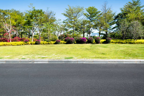 Asphalt road and roadside scenery.