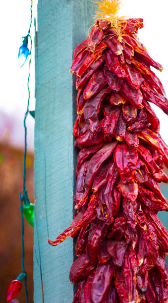 istock New Mexico Christmas: Chili Pepper Ristra and Christmas Lights 1193443949