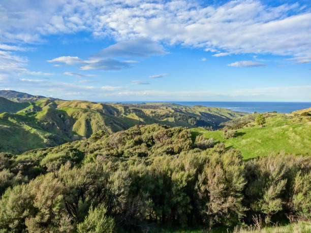 istock Rural coastline in the distance 1193445465