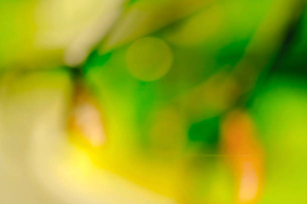 Green nature bokeh glitter defocused lights abstract background.