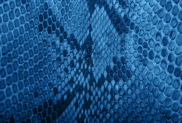 istock snake skin pattern toned classic blue color 1193453680