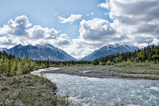 Quill Creek on the border of Kluane National Park in Yukon Canada in summer.