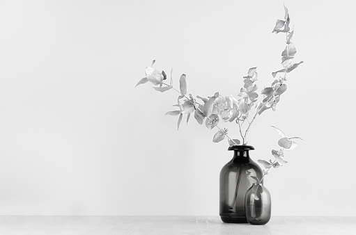 modern black vase with orchid flower on gray background. High quality photo