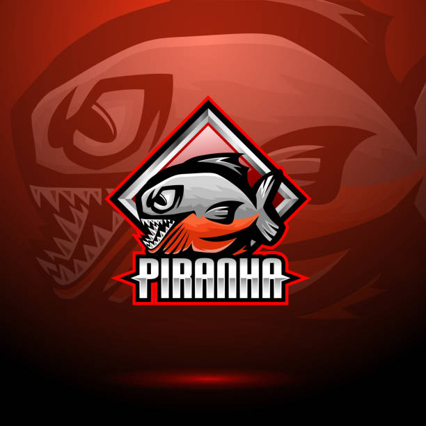 illustrazioni stock, clip art, cartoni animati e icone di tendenza di design del logo della mascotte dell'esport piranha - piranha