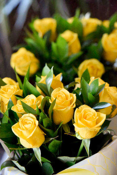 букет из желтых роз, студийный снимок. селективный фокус. романтика концепции. - bouquet flower bunch individuality стоковые фото и изображения