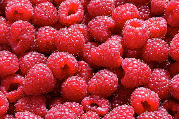 sweet fresh raspberries stock photo