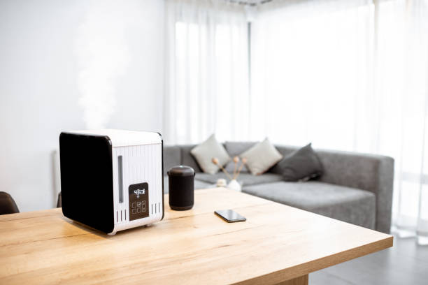 istock Air humidifier at home 1193468334