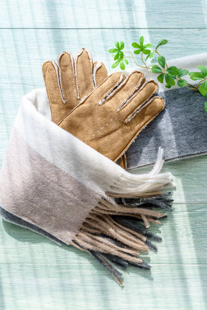 istock Woolen scarf and gloves on wooden background 1193475889