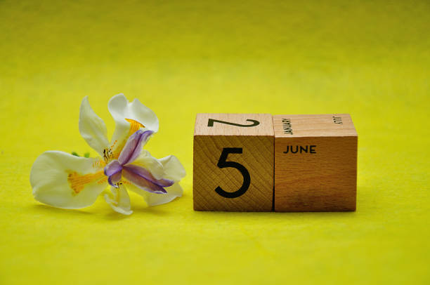 istock 5 June on wooden blocks with an african iris on a yellow background 1193476673