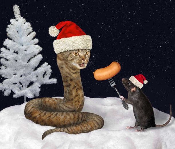 Rat feeds cat snake in wood The black rat in a red Santa Claus hat is feeding the beige cat snake with sausage in the winter wood at night. snag tree stock pictures, royalty-free photos & images