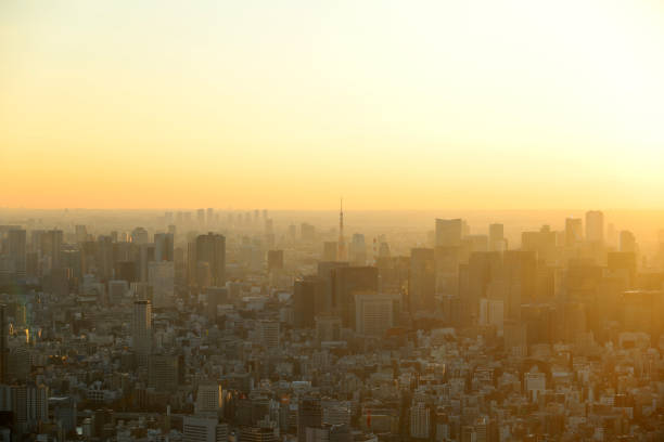 piękny krajobraz miasta tokio w wschodzie słońca i mgła słaby, pokrycie wiatru. - harajuku district zdjęcia i obrazy z banku zdjęć