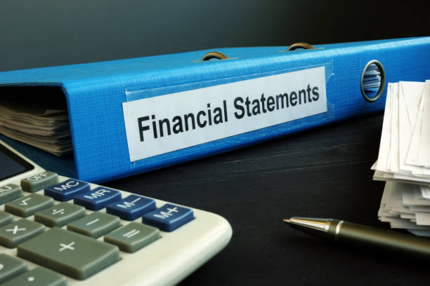 istock Blue folder with Financial Statements in the office. 1193484166