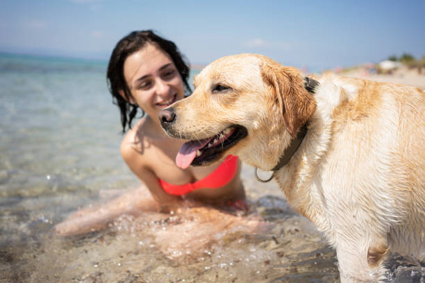 istock Young woman having fun with her dog 1193484263