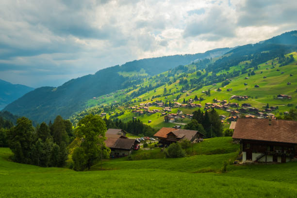 istock Summer time countryside panoramic landscape in Switzerland 1193484278