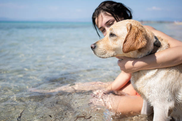 istock Young woman having fun with her dog 1193484356
