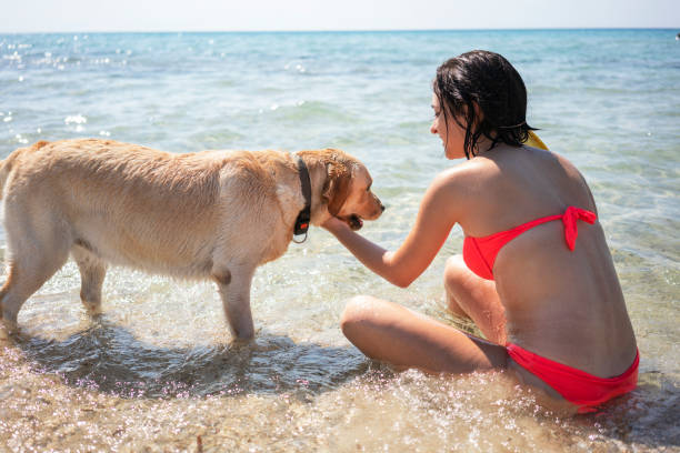 istock Young woman having fun with her dog 1193484414