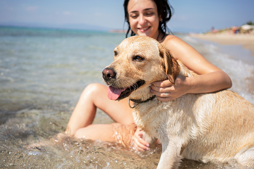 Young woman having fun with her dog at the beach