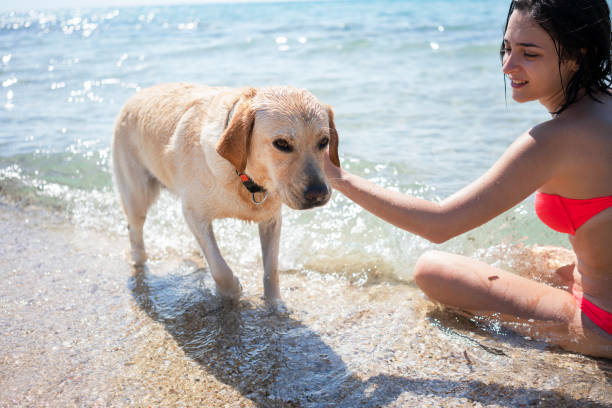 istock Young woman having fun with her dog 1193484652