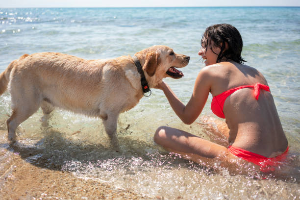 istock Young woman having fun with her dog 1193485180