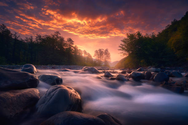 istock beautiful sunrise over fast flowing mountain river 1193485420