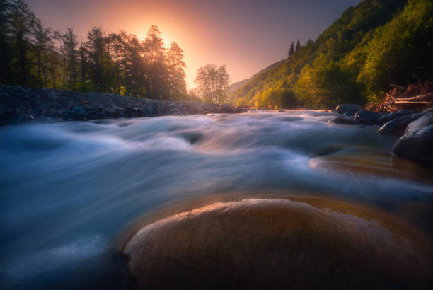 istock beautiful sunrise over fast flowing mountain river 1193485439