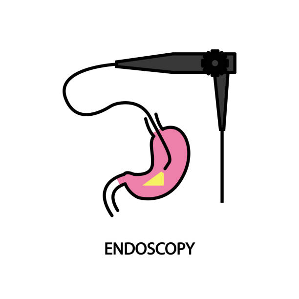 Endoscopy line icon. Gastrointestinal diagnostics Endoscopy line icon. Gastrointestinal diagnostics. pyloric sphincter stock illustrations