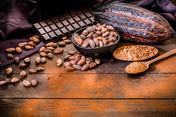 istock Chocolate bar, cocoa powder, cocoa beans and cocoa pod with copy space 1193489774