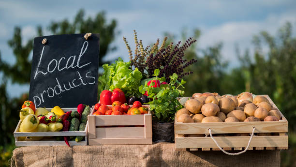 tiro ao ar livre do contador com vegetais frescos e um sinal de produtos locais - eggplant vegetable vegetable garden plant - fotografias e filmes do acervo