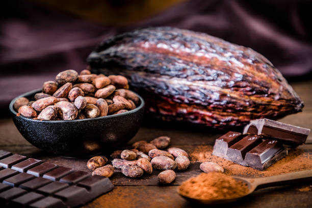 barra de chocolate, cacao en polvo, granos de cacao y vaina de cacao - chocolate beans fotografías e imágenes de stock