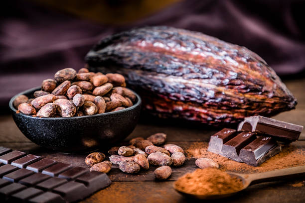 Chocolate bar, cocoa powder, cocoa beans and cocoa pod Front view of some dark chocolate bars, cocoa powder, cocoa seeds and cocoa pods on a dark brown wooden plank. Selective focus on the cocoa beans. Low key DSLR photo taken with Canon EOS 6D Mark II and Canon EF 24-105 mm f/4L cocoa powder stock pictures, royalty-free photos & images