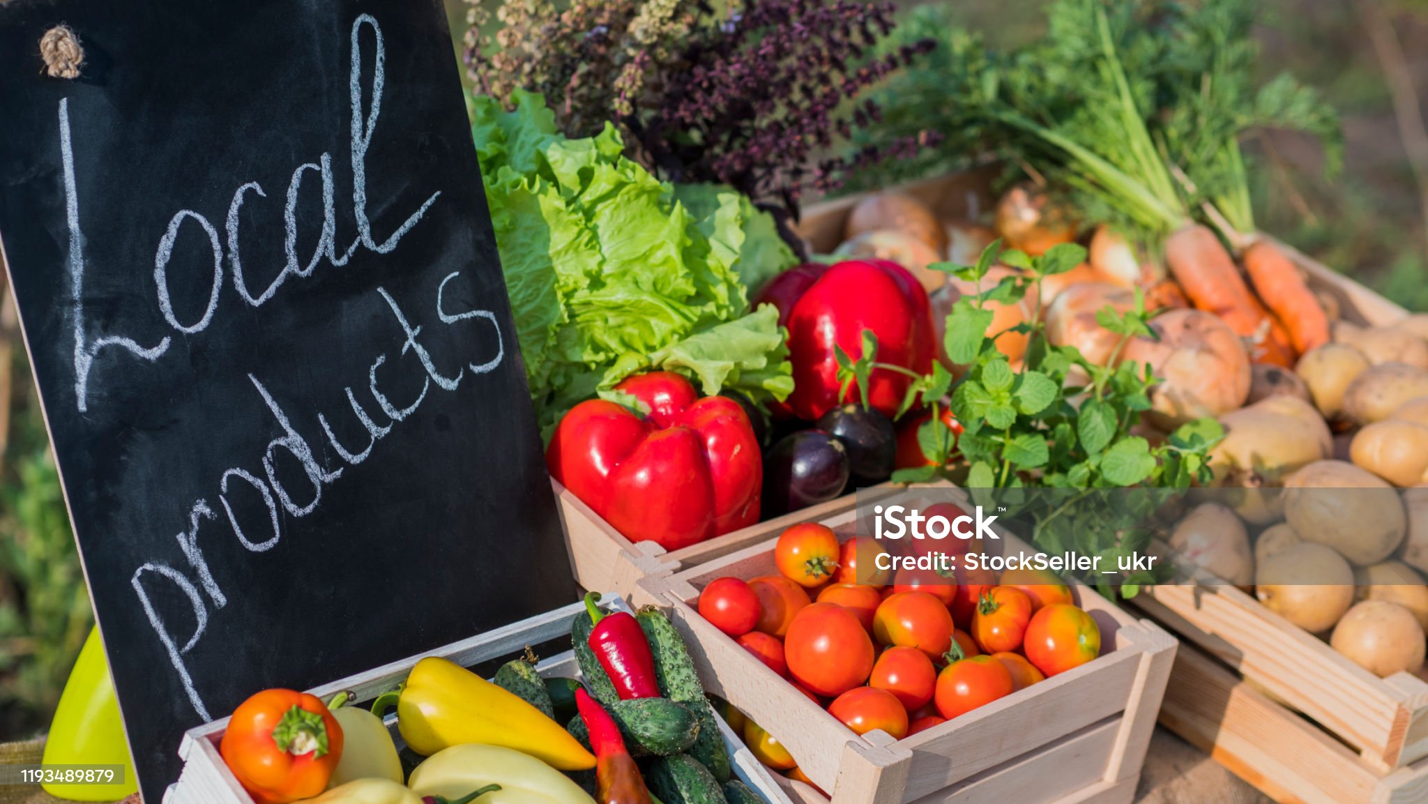 Seasonal Delights: What's Ripe and Ready This Week