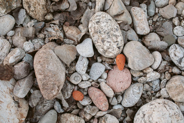 Pebbles stones texture and background for design. Abstract texture made with small gray stones. Mountain floor background.