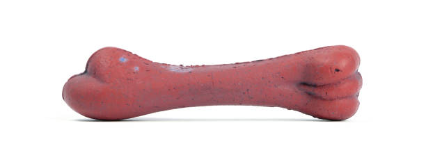 istock Old bone rubber toy for dogs, isolated 1193491290