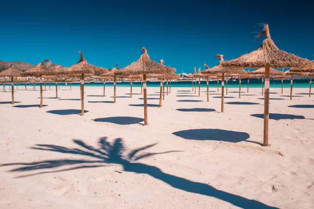 istock Paradise Beach, beautiful and tropical caribbean coast. 1193491737