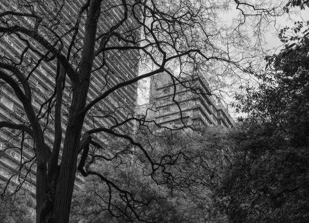 Sao Paulo city, Sao Paulo state, Brazil