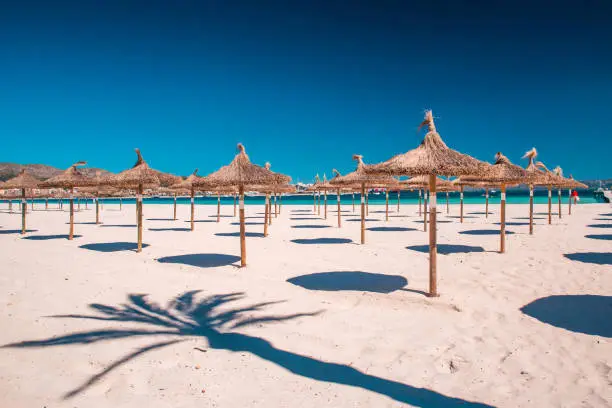 Photo of Grass umbrellas at the summer beach on Playa de Muro. Mallorca., Spain