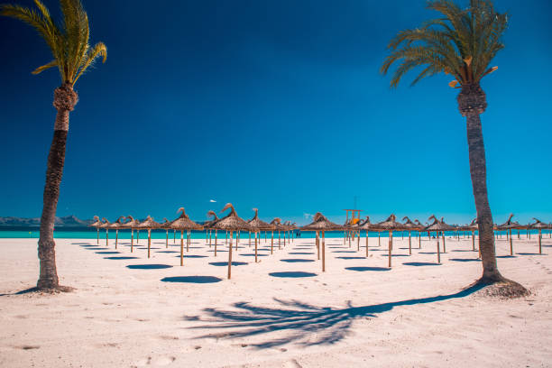 istock Palm trees and umbrellas on tropical beach. 1193493854