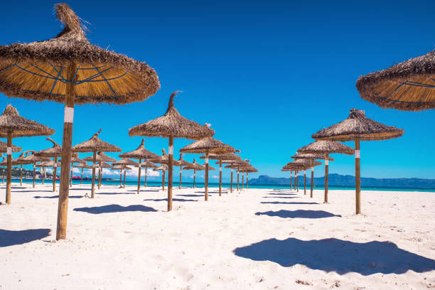 istock Beach sunbeds and parasols overlooking turquoise water. 1193495287