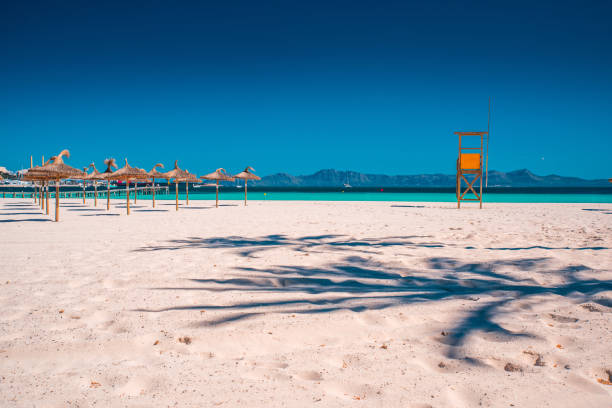 istock Paradise Beach, beautiful and tropical caribbean coast. 1193495464