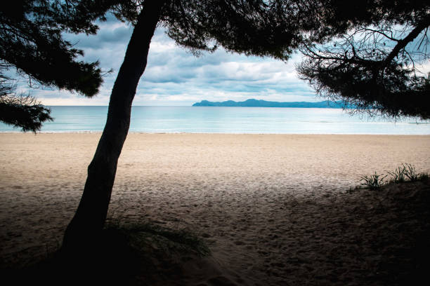 istock Empty beach in cloudy morning. Melancholy photo. 1193495628