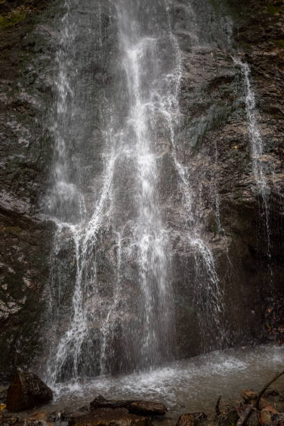 istock Waterfall in the forest in Tyrol 1193496928