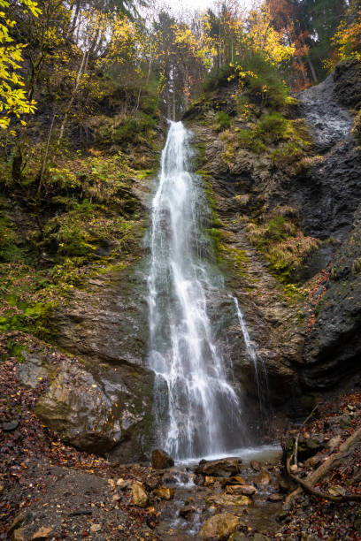 istock Waterfall in the forest in Tyrol 1193496985