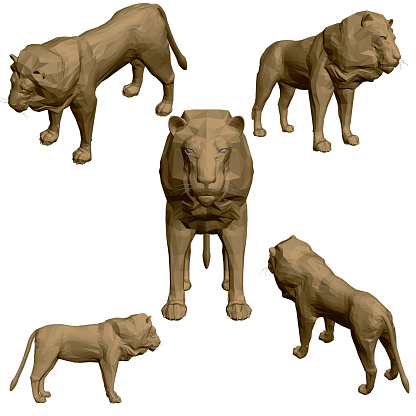 Set With Polygonal Lion Isolated On A White Background Lion From Different  Points Of View 3d Vector Illustration Stock Illustration - Download Image  Now - iStock