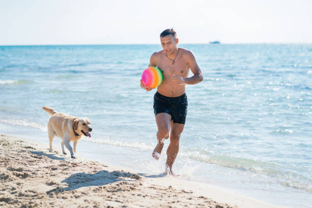 istock Young man playing with dog at the beach 1193498075