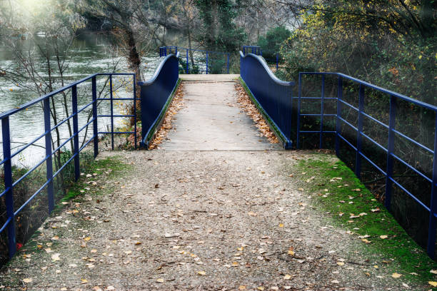 istock wooden bridge with metal railing over the river 1193498326